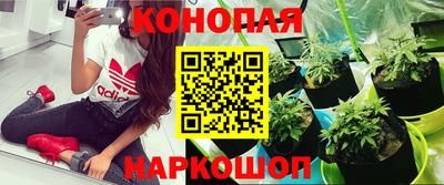 индика Кунгур