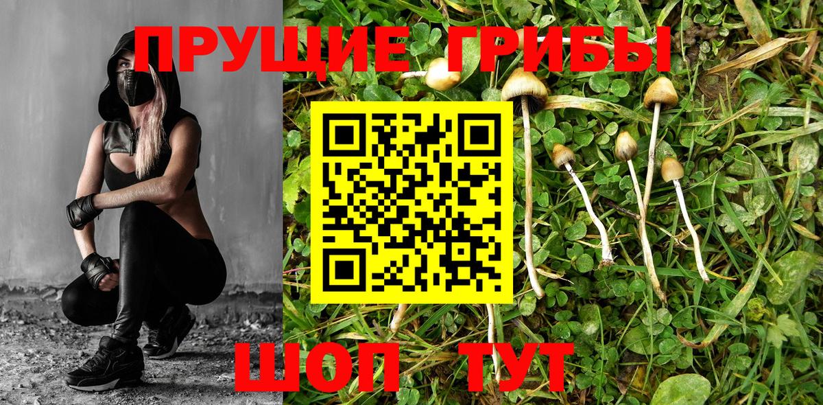 Галлюциногенные грибы прущие грибы  Вход с VPN  Южно-Сахалинск 