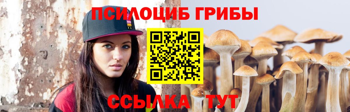 Галлюциногенные грибы GOLDEN TEACHER Южно-Сахалинск